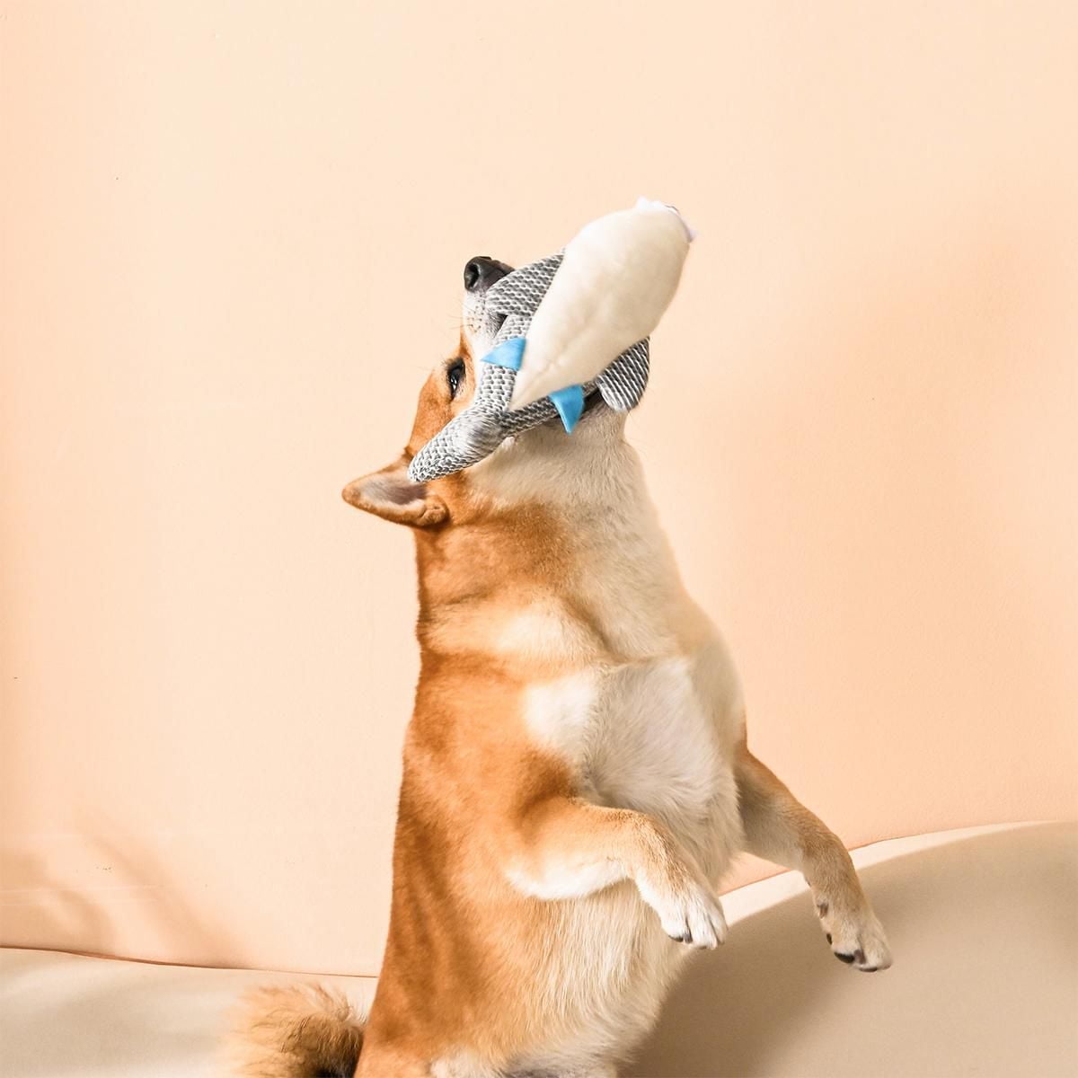 Hugsmart Shark Dog Plush Toy