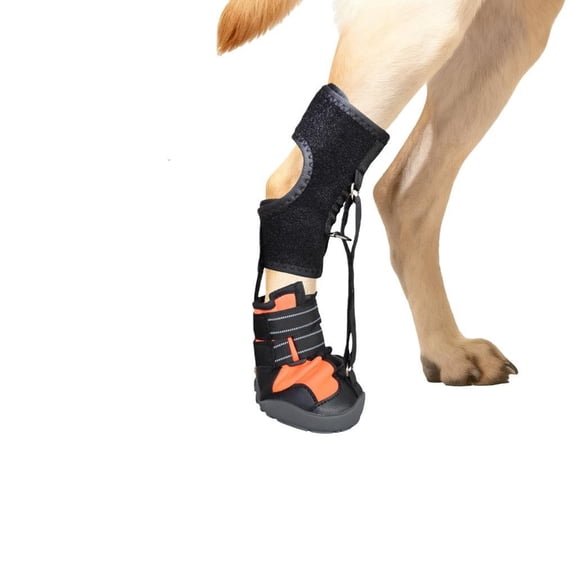 Osdhezcn Drop Foot Brace with Reel for Dog with Foot Issue,Arthritises Corrective Dog Shoe