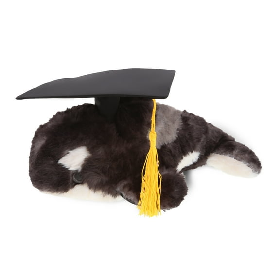DolliBu Killer Whale Graduation Plush Toy - Super Soft Graduation Stuffed Animal Dress Up with Gown & Cap with Tassel Outfit - Cute Congratulatory Graduation Gift - 11.5 Inches