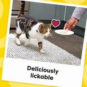 Temptations Creamy Puree Chicken, Salmon & Tuna Lickable Cat Treats, 24 Pack