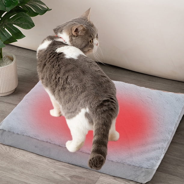Cojín extraíble y lavable para sofá, para gatos y perros, para las cuatro estaciones, de esponja de alta densidad, ideal para mascotas.