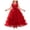 Red, variant on JUMEYU Girls Lace Embroidery Long Dress Sleeveless Flower Party Performance Evening Gown Dresses 4T 5T (Red,4-5 Years)