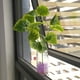 thumbnail image 4 of Plástico Artificial follaje falso hierba verde planta hoja hogar Oficina fiesta jardín decoración, 4 of 8