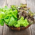 thumbnail image 4 of TomorrowSeeds - Gourmet Mix Lettuce Seeds - 2000+ Count - For 2026 Planting USA Garden Vegetable, 4 of 8