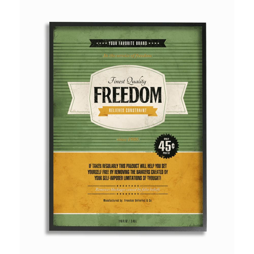 Stupell Industries Finest Quality Freedom Inspirational Vintage Comic Book Design Framed Wall Art by Ester Kay