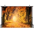 thumbnail image 2 of Fall Forest Background, Yellow Leave Natural Scenery Fall Leaves Photography Backdrop, Thanksgiving Day Harvest Decoration Banner Photo Booth Props,5x3ft, 2 of 5