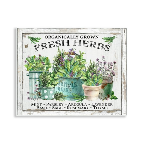 Stupell Industries Organic Fresh Herbs Plants & Flowers Painting Unframed Art Print Wall Art, 14 x 11