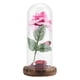 thumbnail image 2 of Flor de rosa con luz LED NikouMX Rosa preservada Regalo romántico, 2 of 8