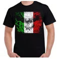 thumbnail image 1 of Playera Camiseta Aguila Mexicana Bandera De Mexico Unisex, 1 of 5