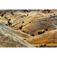 thumbnail image 3 of Kravanja, Jure 24x17 Black Modern Framed Museum Art Print Titled - Golden Hills, 3 of 5