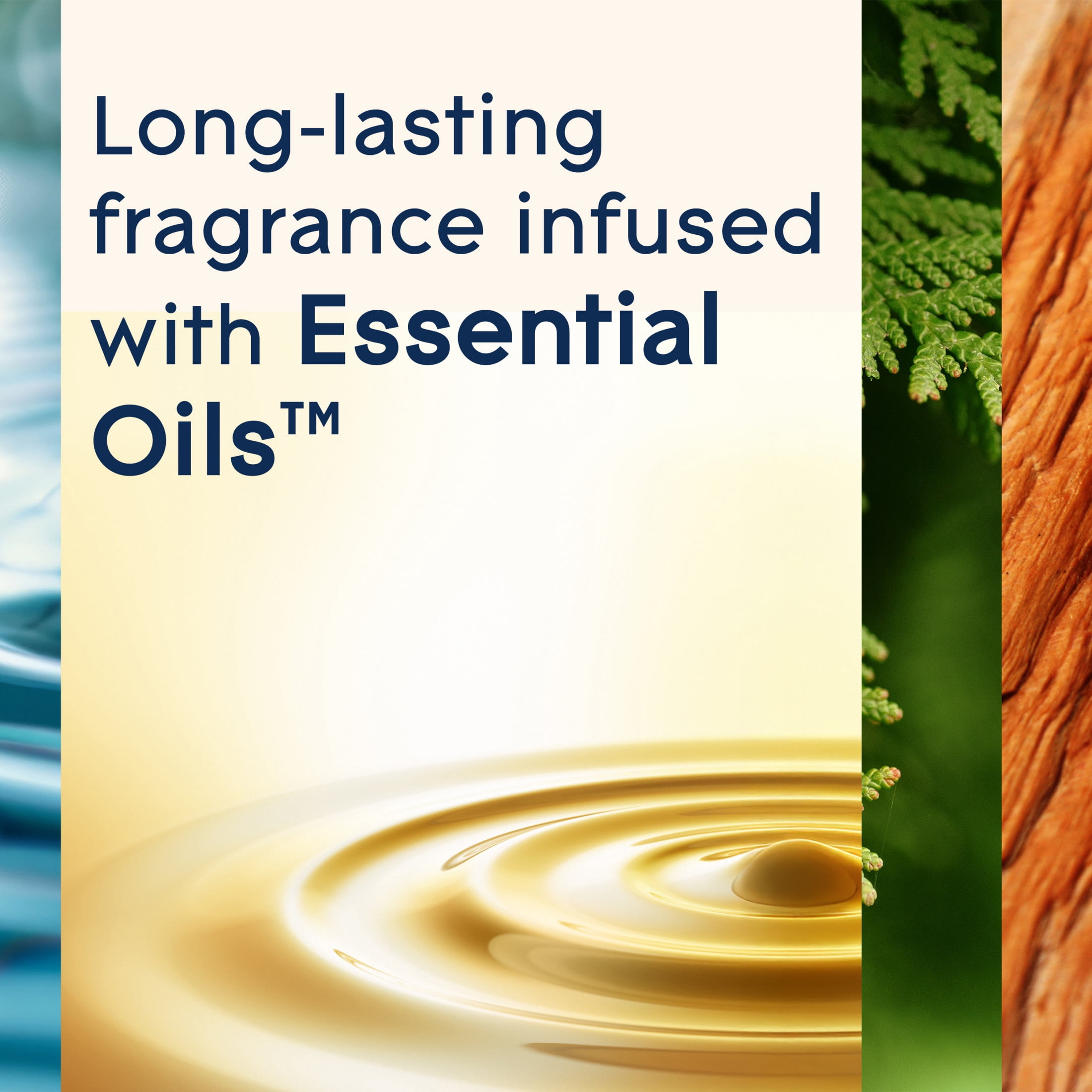 (5 pack) Glade® PlugIns® Scented Oil, Air Freshener, Cedar Harbor, Essential Oil Infused Wall Plug In, 3.35 FL oz, Pack of 5