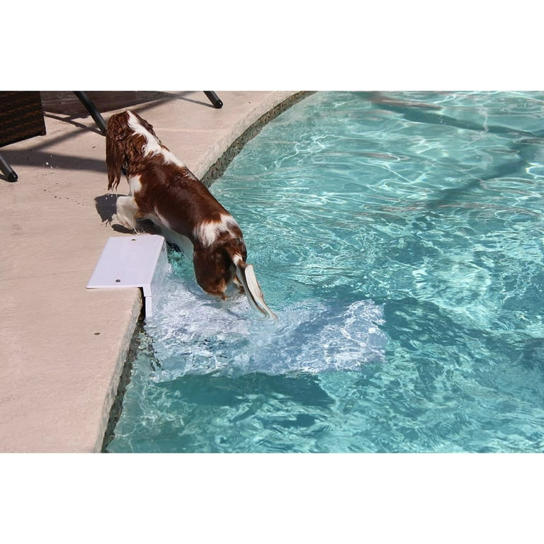 Paws aboard pool pup steps cheap