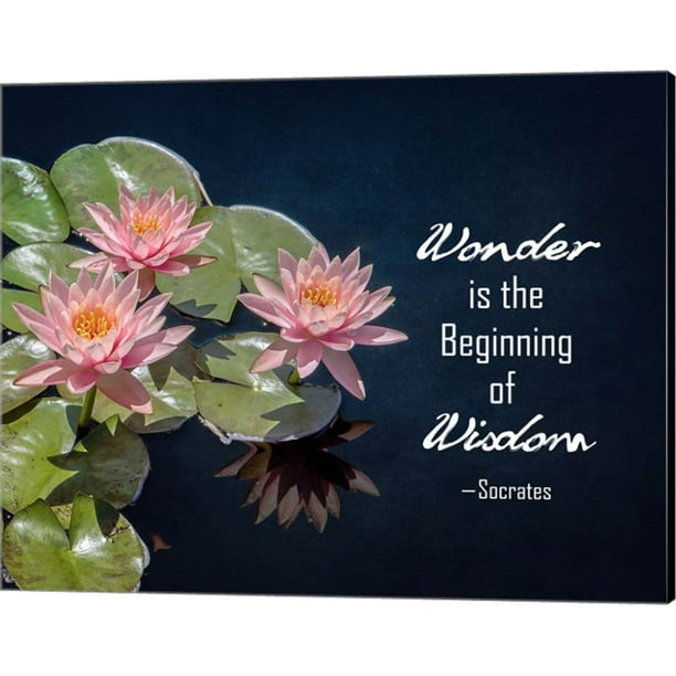 Wonder Is The Beginning Of Wisdom Water Lily Color By Quote Master Canvas Wall Art w X 16h Walmart Com
