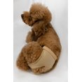 thumbnail image 3 of HeeHom Reusable Dog Diapers for Female in Heat Cycle, Adjustable Washable Pants with Sanitary Pads | Breathable Cotton Design for Comfort & Leak-Proof Protection, 3 of 9