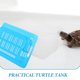 thumbnail image 3 of BRIGHTFUFU Caja Portátil Azul Para Almacenamiento Y Transporte De Reptiles En El Hogar, 3 of 8