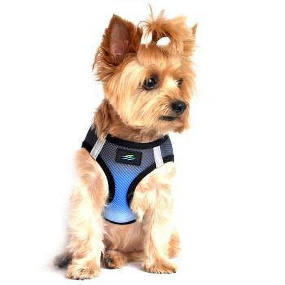 American River Choke-Free Dog Harness by Doggie Design - Midnight Sky Ombre - X-Small