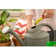 thumbnail image 3 of Miracle-Gro Watering Can Singles All Purpose Water Soluble Plant Food, 24 Singles/Bag, 3 of 8