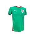 thumbnail image 3 of Jersey Puma Selección Mexicana Hombre 73911102, 3 of 3