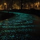 thumbnail image 3 of 50 Piedras Brillantes para Decorar Acuarios con Forma de Trozos de Hielo | Rocas de Paisaje con Luz Nocturna para Peceras | Resina Segura para Acuarios de Agua Dulce y Salada, 3 of 3
