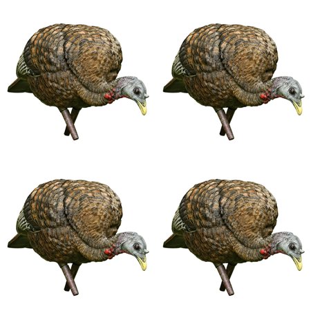 Avian X Feeder Lifelike Collapsible Folding Hen Turkey Hunting
