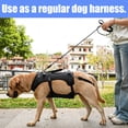 thumbnail image 5 of Coodeo Rehabilitation Support Series Adjustable Dog Lifting Aid Full Body Harnesses, Black, XL (24 in to 33 in Chest Size), 5 of 6