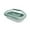 Green, variant on GROWTH TANK Small Turtle Tank Reptile Habitat Turtle Shell Reptile Habitat Container Reptile Black