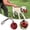 Chew Toys Red, variant on Dog Training Ball on Rope | Leather Chew Toy for Small/Medium Dogs | Activity Release & Anxiety Relief | Interactive Exercise & Reward Ball