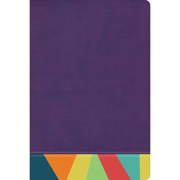Rvr 1960 Biblia de Estudio Arcoiris, Morado/Multicolor, (Hardcover)