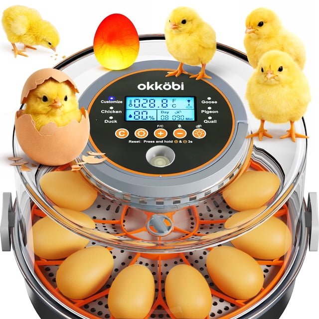 Incubadora inteligente OKKÖBI de 12 huevos para huevos de gallina, codorniz, pato y ganso