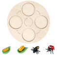 thumbnail image 1 of MesaSe Simulation Insect Plastic Animal Early Growth Preschool Model Miniature Educational Props Cognition Toy for Children, 1 of 9