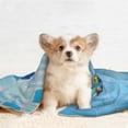 thumbnail image 4 of Rocae Prague Ratter Dog in Bathtub for Pet Blanket Dog Blanket Cat Blanket Soft Sleep for Small Medium Pet-Medium, 4 of 8