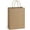 Brown, variant on Bags 8x4.25x10.5  25 count Red  Paper  Bags with Handles , for Retail, Merchandise, Shopping, Recycled Paper Sacks