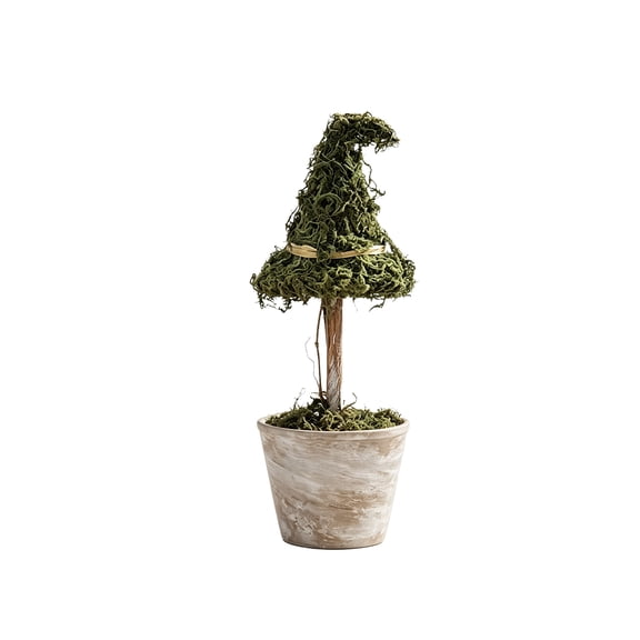 Eolstice Halloween Natural Witch Hat Topiary Tree, Dried Botanical Tabletop Decor, Gothic Potted Ornament, Mantel Shelf Indoor Holiday Decoration