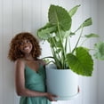 thumbnail image 2 of Bloem Mathers 12" Plastic Planter - Modern Indoor Pot with Drainage Holes and Saucer Tray, Misty Blue, 2 of 5
