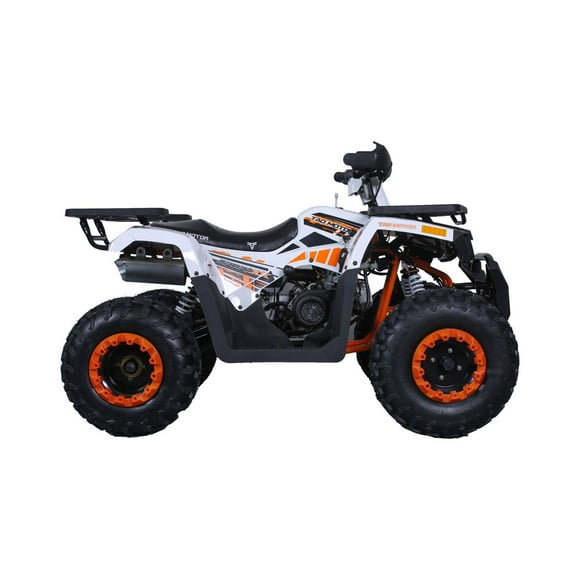 Tao Tao Raptor 200 169 cc ATV