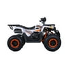 Taotao Raptor 200 169 Air Cooled, 4-Stroke, 1-Cylinder, Automatic-Blue