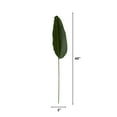 thumbnail image 3 of Mainstays 40" Tall Green Artificial Travelers Palm Stem, 3 of 6