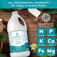 thumbnail image 6 of MARPHYL Organic Liquid All Purpose Fertilizer – Indoor & Outdoor Plants, 16.9 oz, 6 of 7