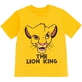 thumbnail image 5 of Disney Lion King Simba Timon Pumbaa Big Boys 3 Pack T-Shirts Toddler to Big Kid, 5 of 5