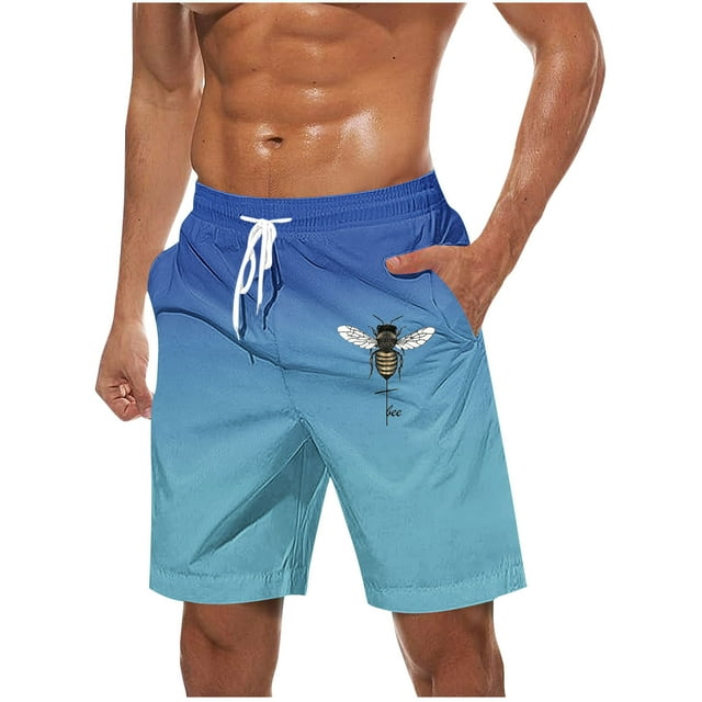 LOVZFMLL Shorts pour Hommes Maillots de Bain Séchage Rapide Shorts de Plage Board avec Poches Couleur Dégradée Maillots de Bain pour Hommes Tenue de Bain Bleu TG