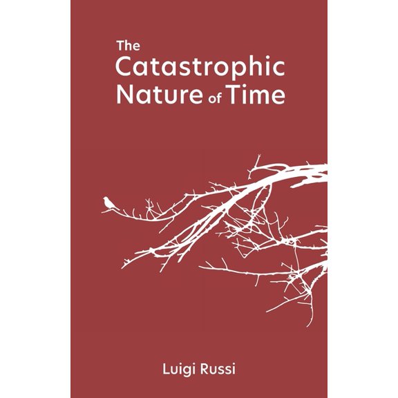 Pith The Catastrophic Nature of Time, (Paperback)