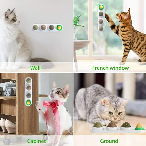 Boule d'herbe à chat ? Boules d'herbe à chat pour chats mur : vigne  argentée pour chats, 3 pièces jouets pour chat à l'herbe à chat argentée  pour chats d'intérieur, morsures comestibles