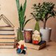 thumbnail image 1 of Adornos de jardín Decoración de jardín al aire libre - Dos gnomos de jardín de resina impermeables Adorno de estatuilla de elfos para patio de césped Aniversario de bodas Día de San Valentín Regalos de cumplea?os de Navidad LingWen 8390605180620, 1 of 1