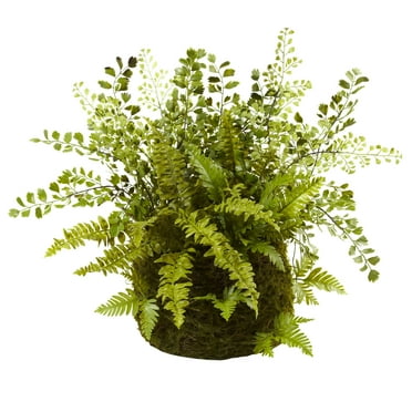 Nearly Natural 13" Mixed Fern Artificial Plant with Twig and Moss Basket, Green