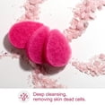 thumbnail image 3 of Esponja facial BS-MALL exfoliante para limpieza profunda, 12 unidades, 3 of 6