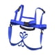 thumbnail image 2 of Arnés de esquí y snowboard para niños Halter a esquiar para principiantes Control de velocidad Azul, 2 of 8