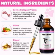 Oimmal Collagen for Dogs, Hip and Joint Supplement with MSM, Liquid Collagen for Dogs, Boosting Overall Immunity for Dogs, 2 fl oz - Bacon Flavor