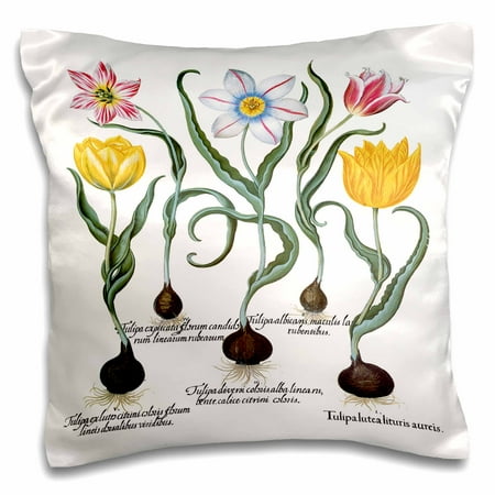 White Tulip - 3dRose Tulips in Yellow, Early Crimson, Silver White, Blue with Yellow - Pillow Case, 16 by 16-inch