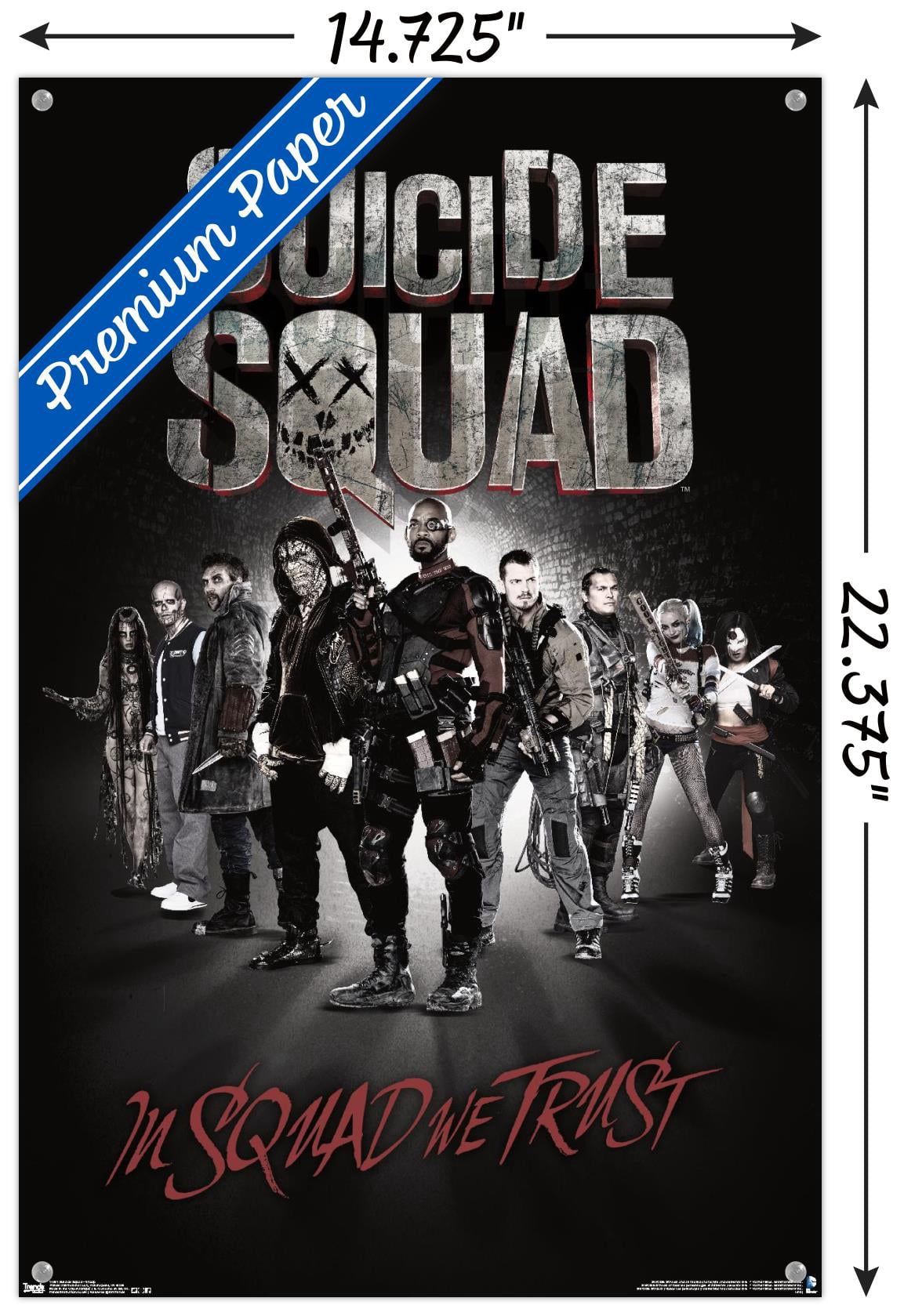 DC Comics Movie - Suicide Squad - Group Wall Poster with Push Pins, 14.725" x 22.375"