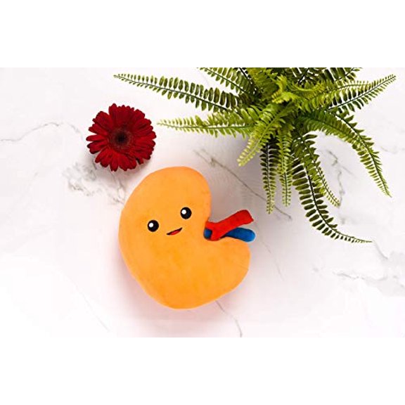 Nerdbugs Plush riñón - ¡orina para una delicia! - Organ de peluche de riñón grande Tomado/ trasplan de riñón nerdbugs nerdbugs